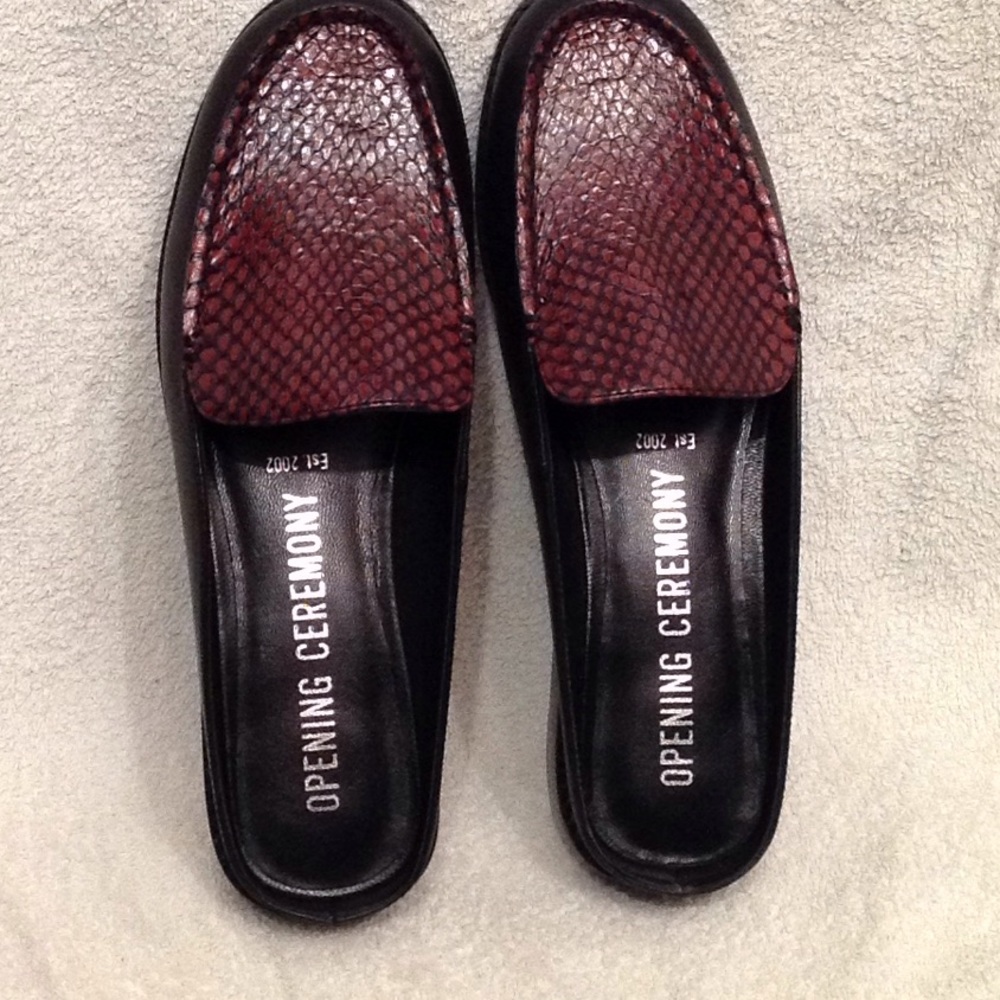 Opening Ceremony "nebula" slides